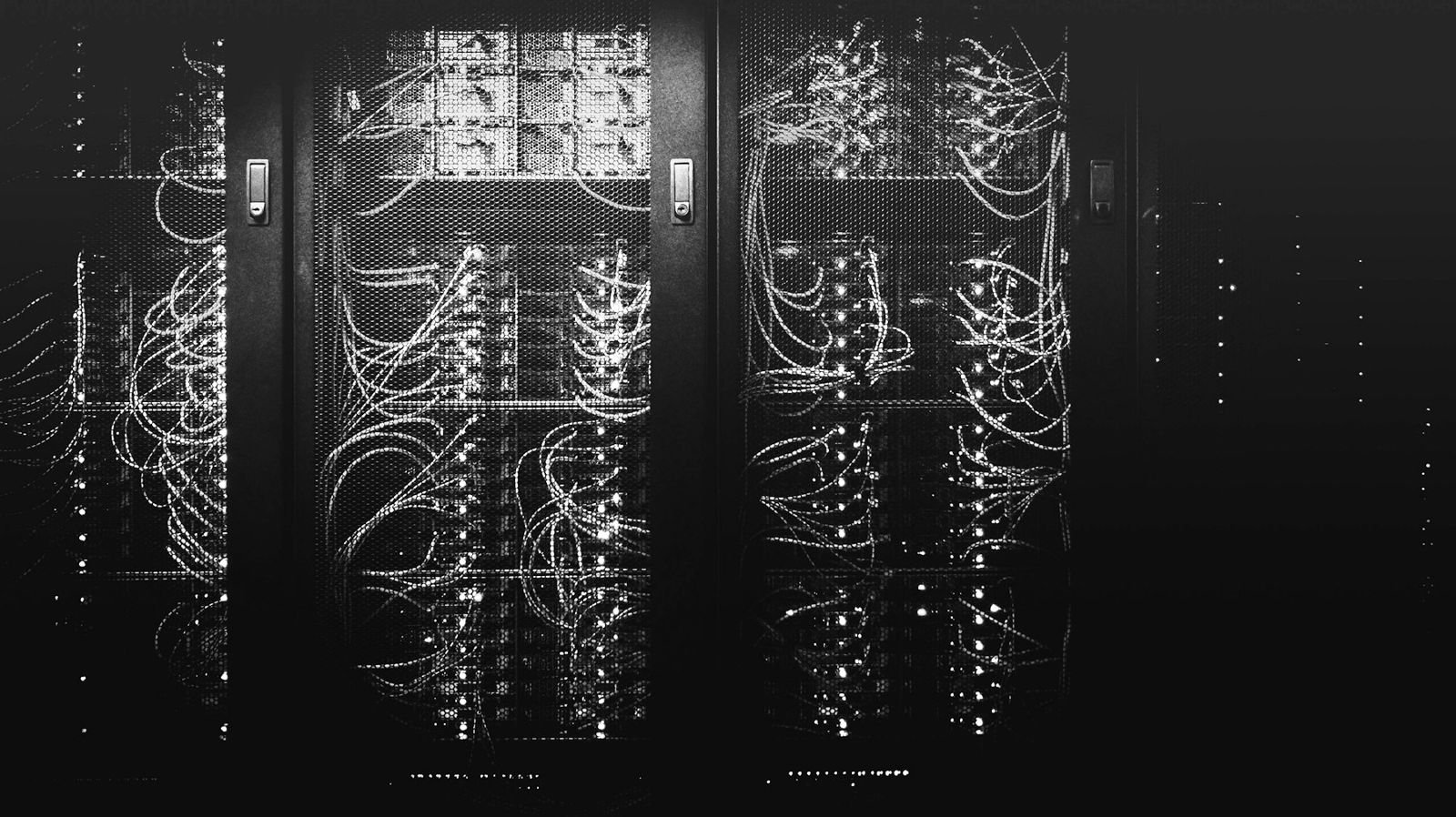 Network cables running through server racks