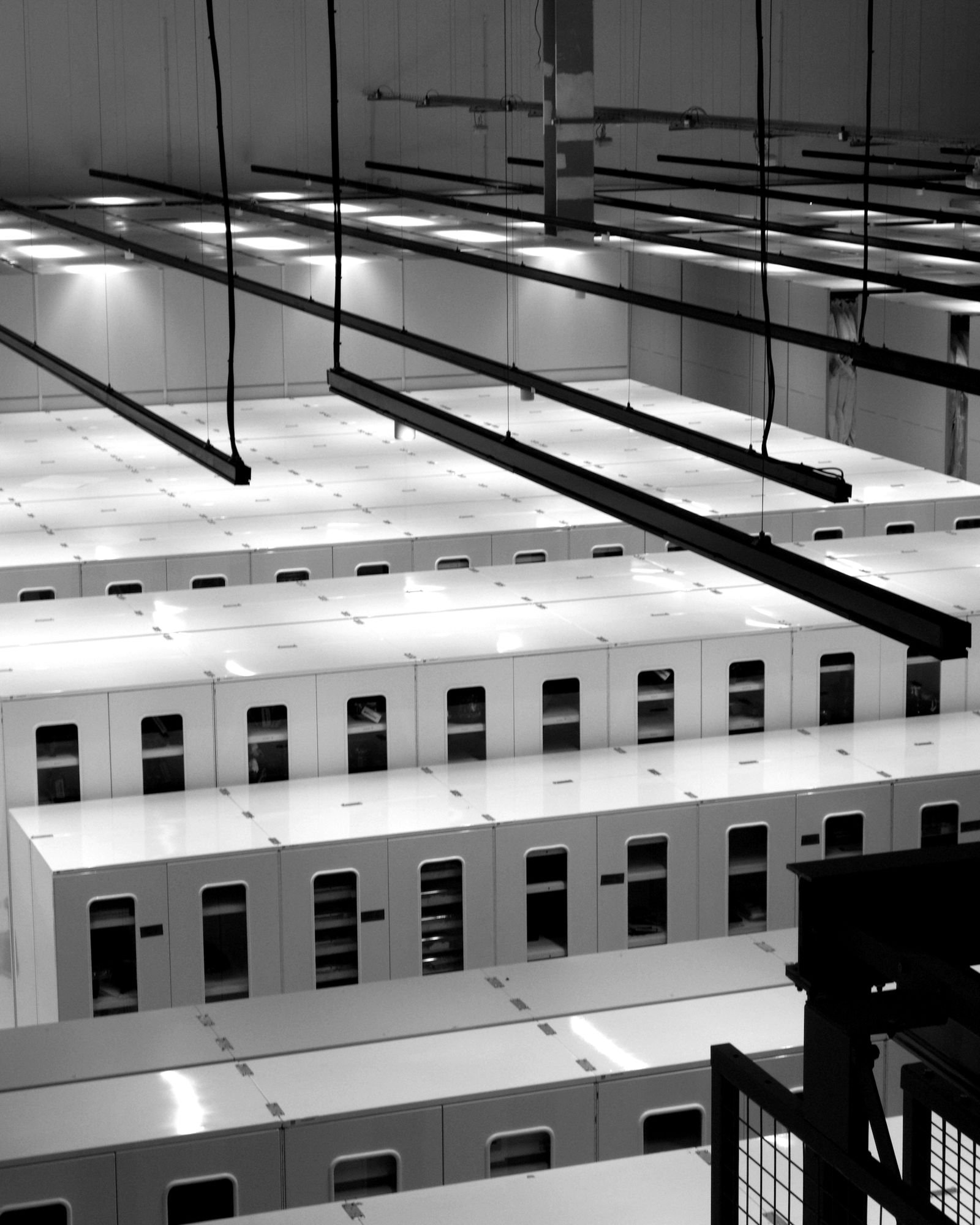 Rows of white server cabinets in a bright data center