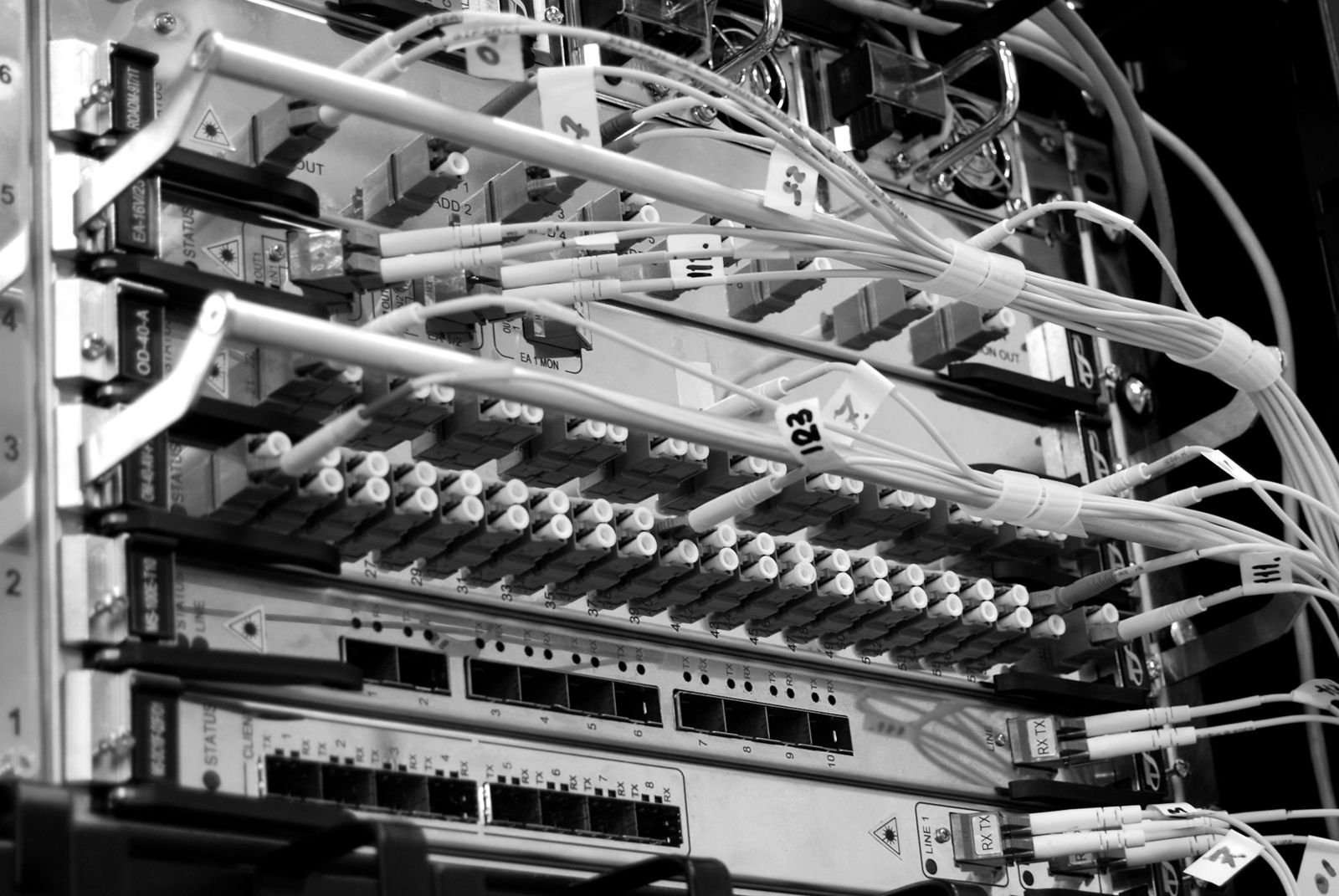 Fiber optic cables patched into a network switch in a server rack