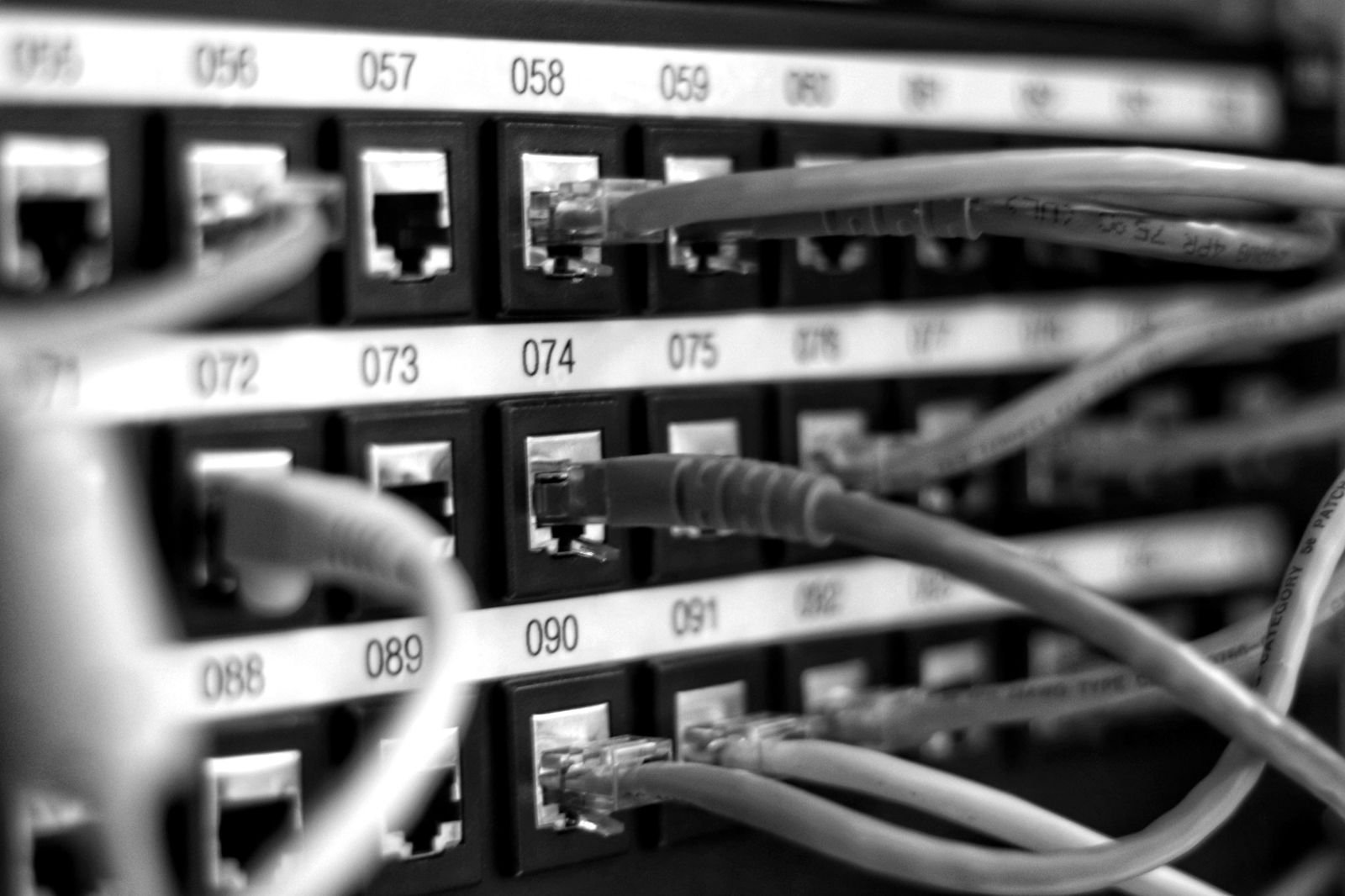 Numbered ports on a patch panel with network cables plugged in