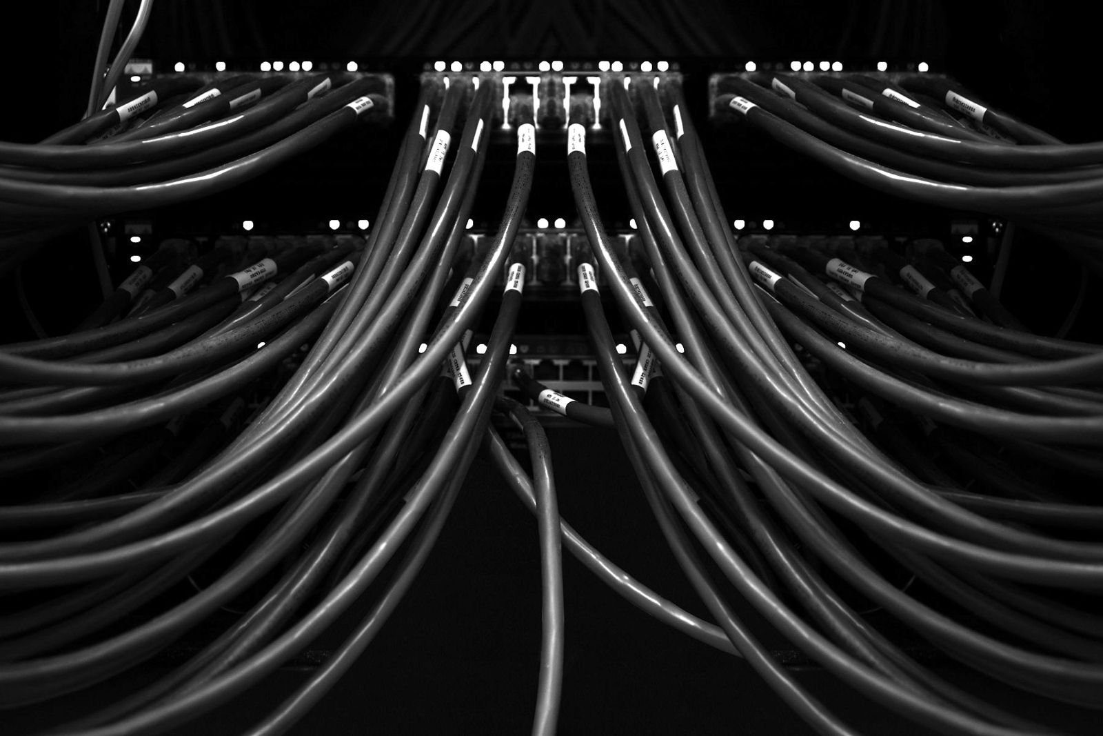 Bundles of network cables connected to a patch panel